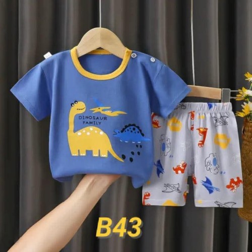 B43