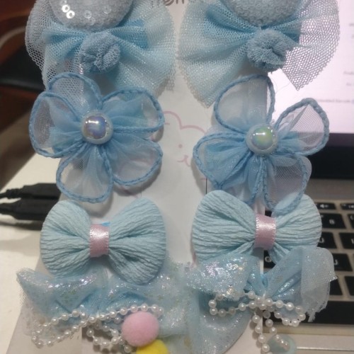 Clip Set 141 B