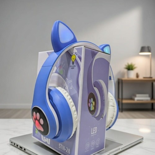 Cat Headphone