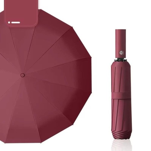 CHINA UMBRELLA