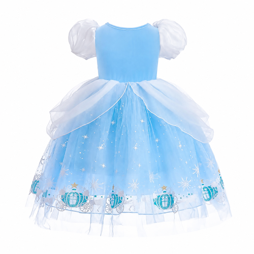 Cinderella Dress - 02