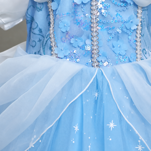 Cinderella Dress - 02