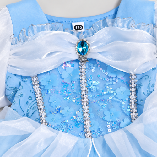 Cinderella Dress - 02