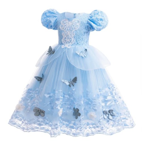 Cinderella Dress  03 - HGN01
