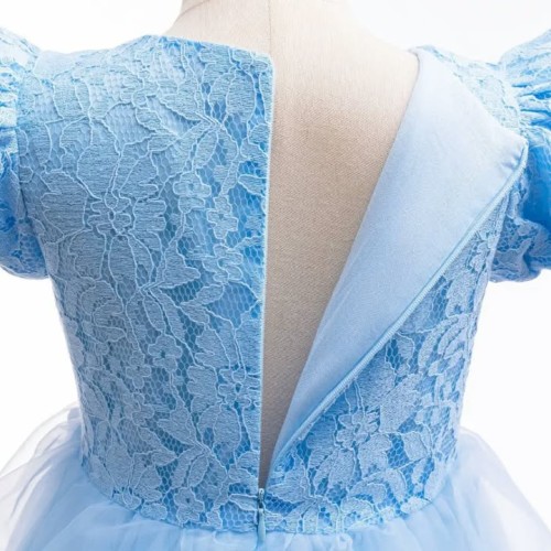 Cinderella Dress  03 - HGN01