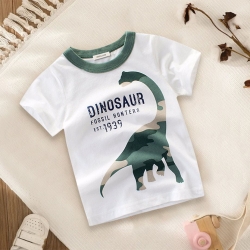 37TSHIRT