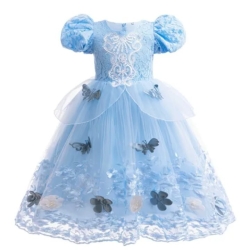 Cinderella Dress  03 - HGN01