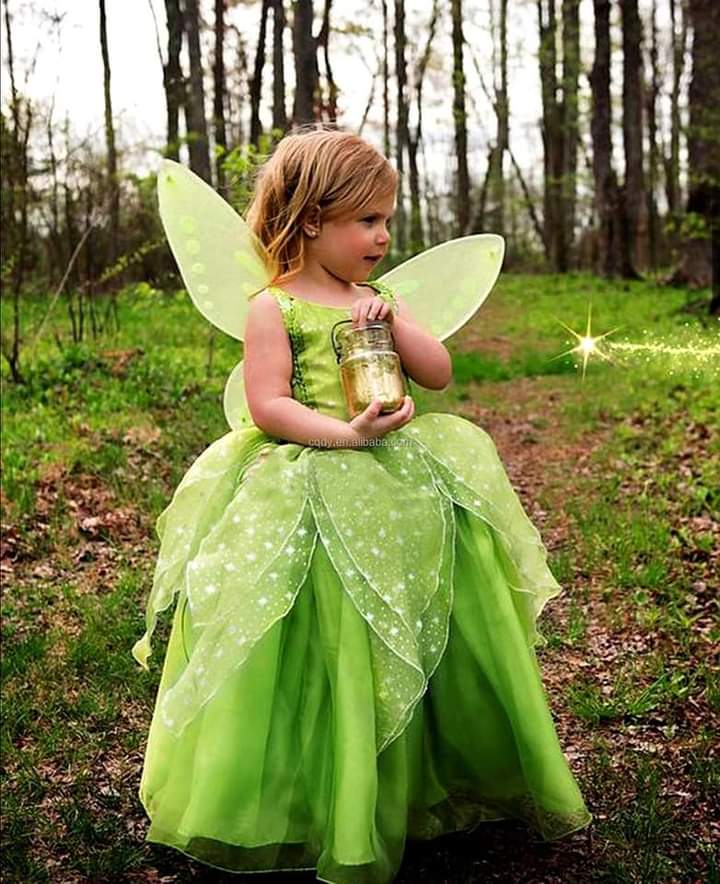 Girls Tinker Bell Princess Dress